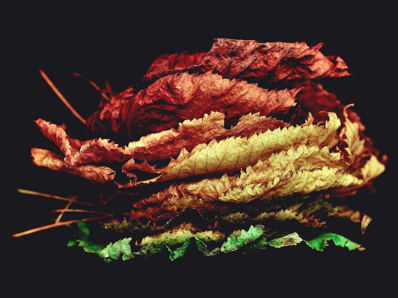 记忆碎片<br>kclfxfu.cn 植入体真伪辨